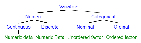 A nested hierarchy of variables. Variables breaks down into numeric and categorical. Numeric breaks down into continuous and discrete. All numeric data is conveniently associated with the numeric data type.  Categorical breaks down into ordinal or nominal. Ordinal variables need ordered factors while nominal variables need unordered factors